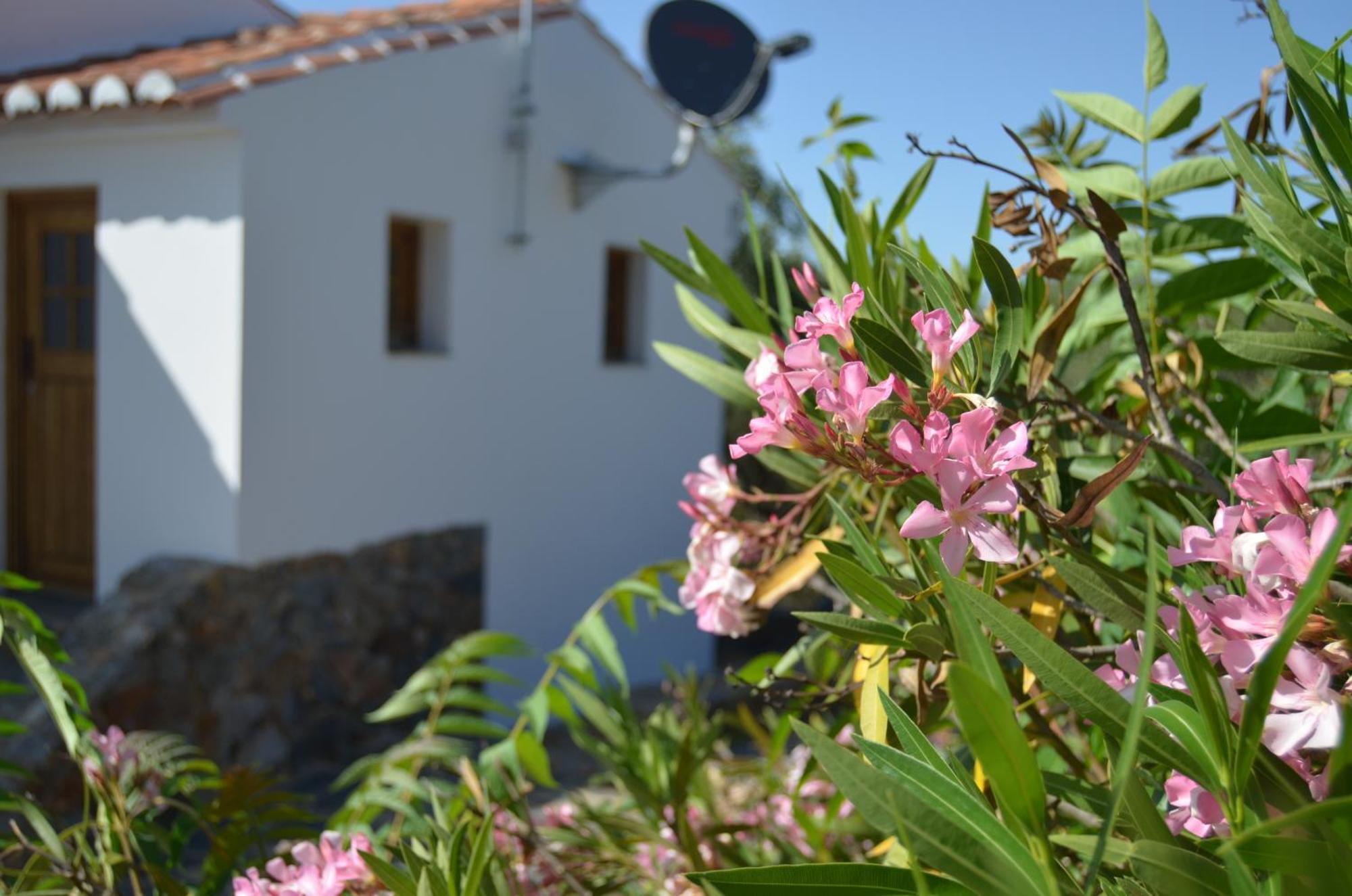 Casa Do Passaro Villa Galegos  Exteriör bild